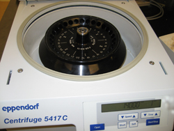 Eppendorf Centriguge in the lab